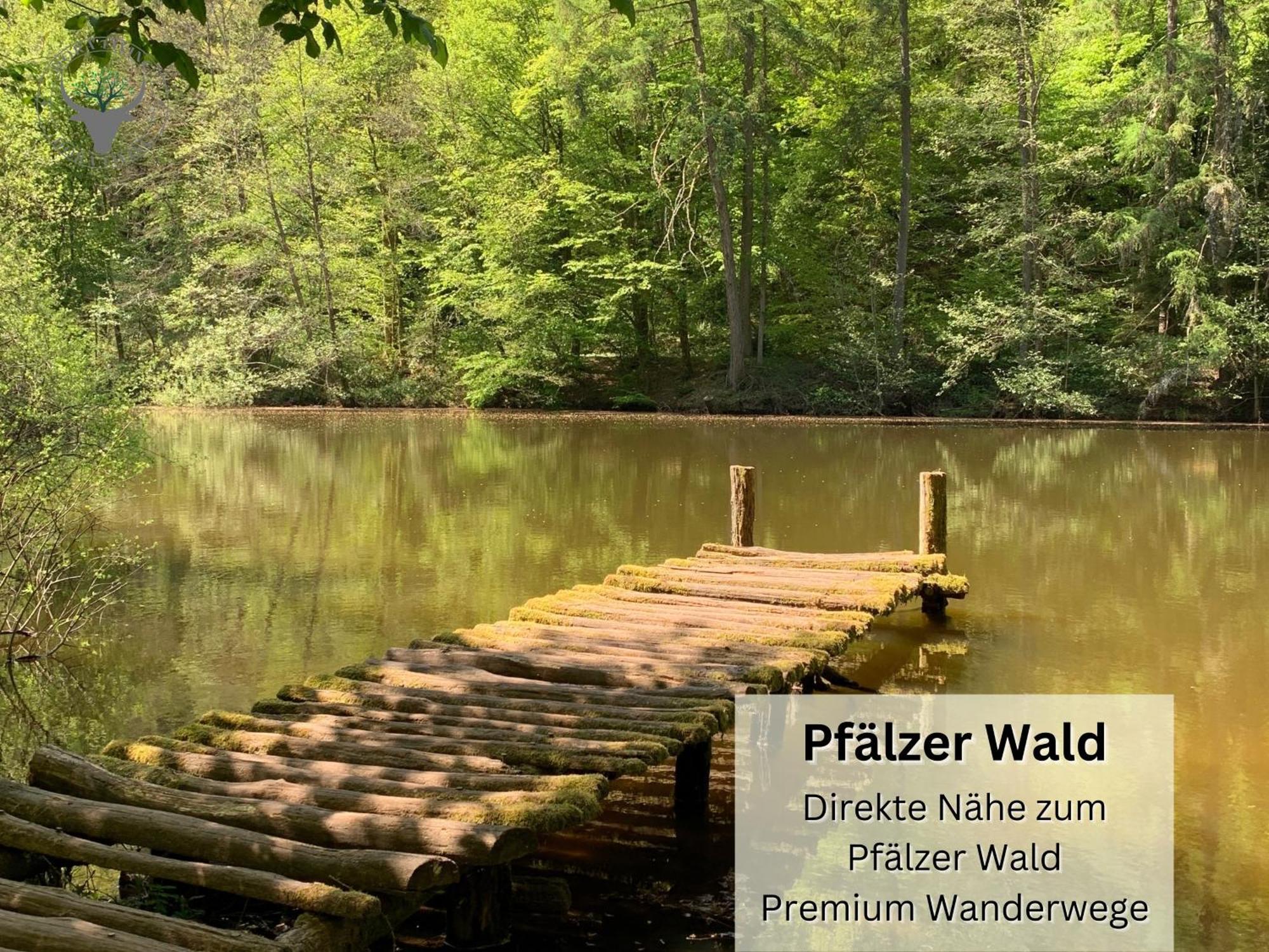 Stierpartment Am Pfaelzer Wald Naehe Outlet Center Zweibruecken Leilighet Pirmasens Eksteriør bilde